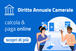 "Vai al sito tematico del Diritto Annuale"