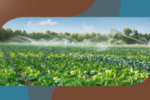 Bando Agricoltura green 2026